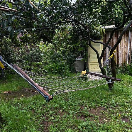 Hostel Eco Chakvi Eksteriør billede